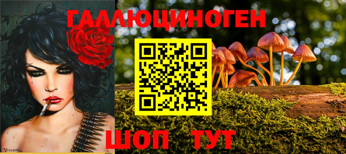 Галлюциногенные грибы Cubensis Оренбург