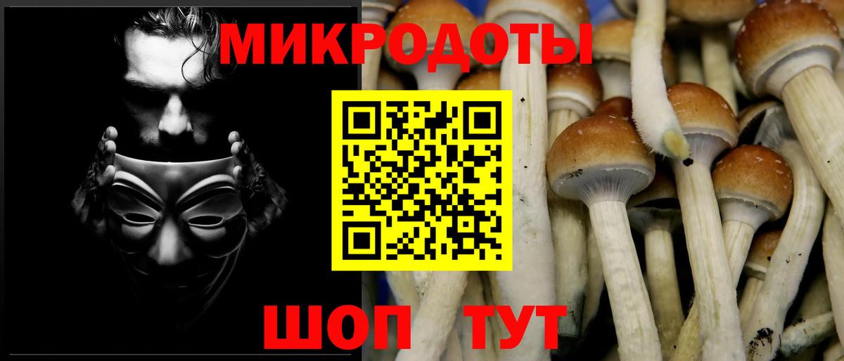 Галлюциногенные грибы MAGIC MUSHROOMS  Вход с VPN  Оренбург  Галлюциногенные грибы прущие грибы 